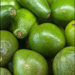 InShot_20251218_131224507