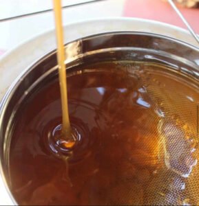 InShot_20260105_194551713