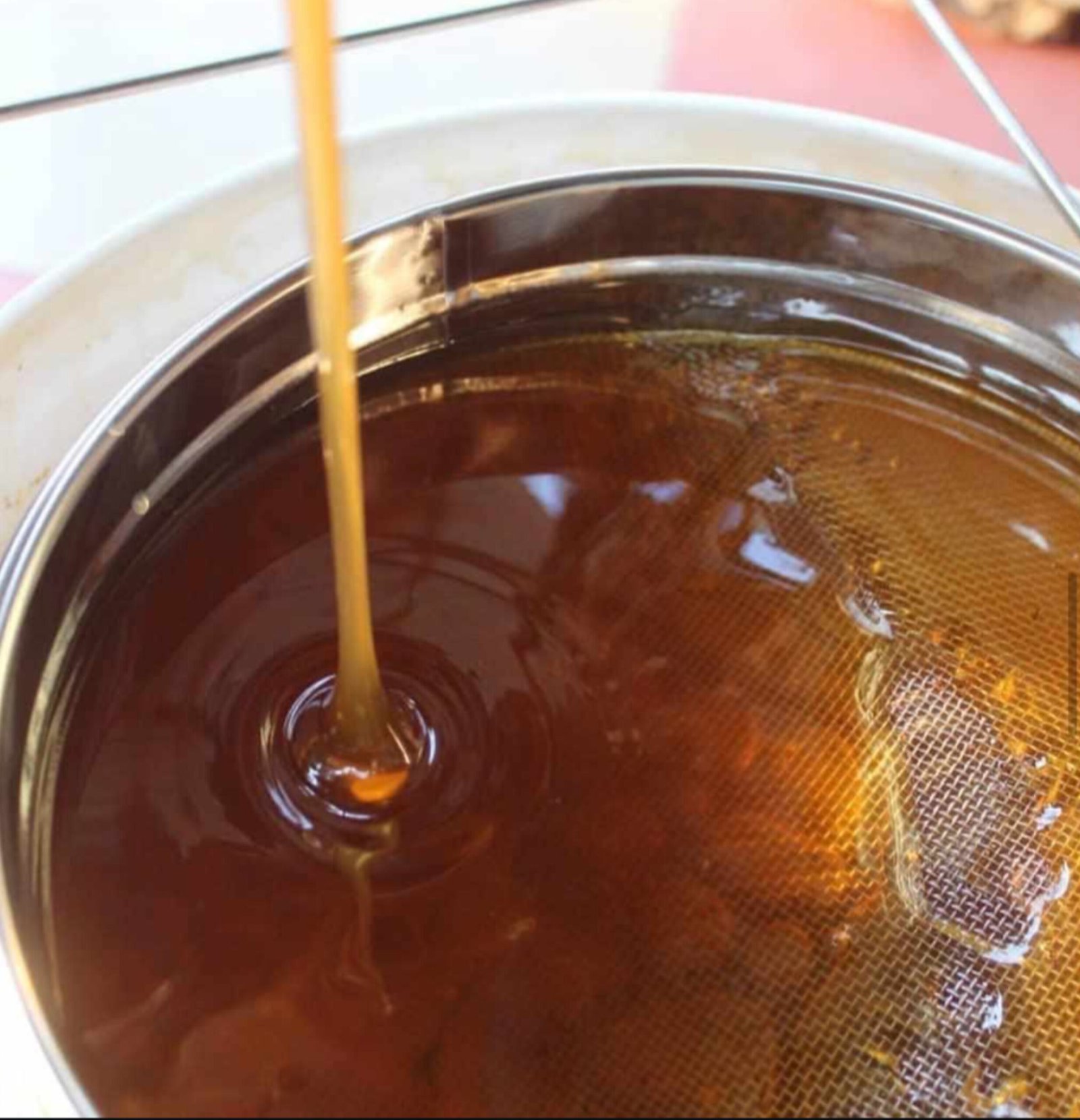 InShot_20260105_194551713