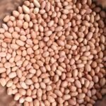 Screenshot_20260105-204141~2