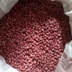 Screenshot_20260105-204259~2