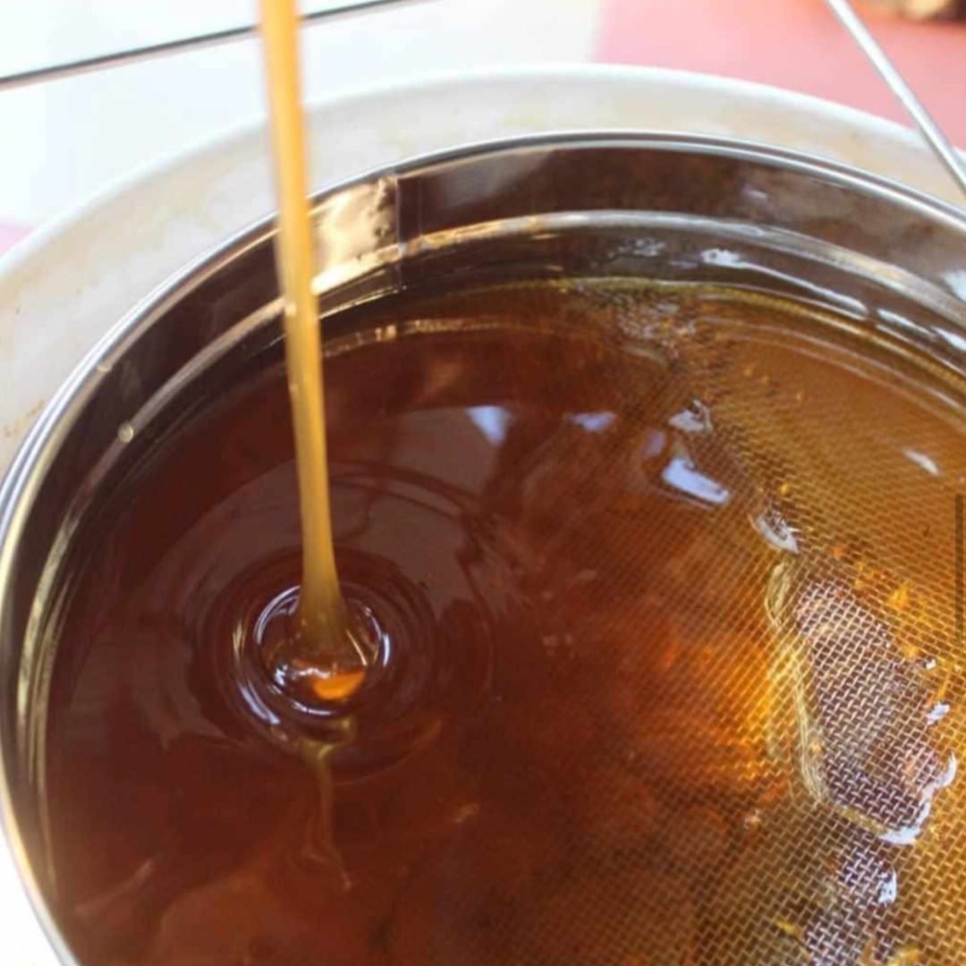 InShot_20260105_194551713